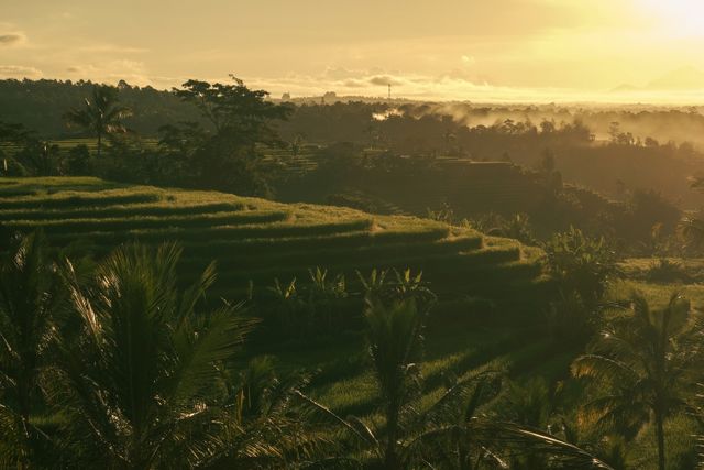 Important Ubud Tours You Don’t Wanna Missed!