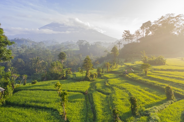 Bali Adventure: A Stop to Remember