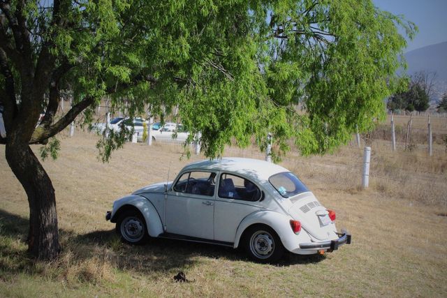 Bali Volkswagen Touring: Explore the Magic of Bali on Four Wheels