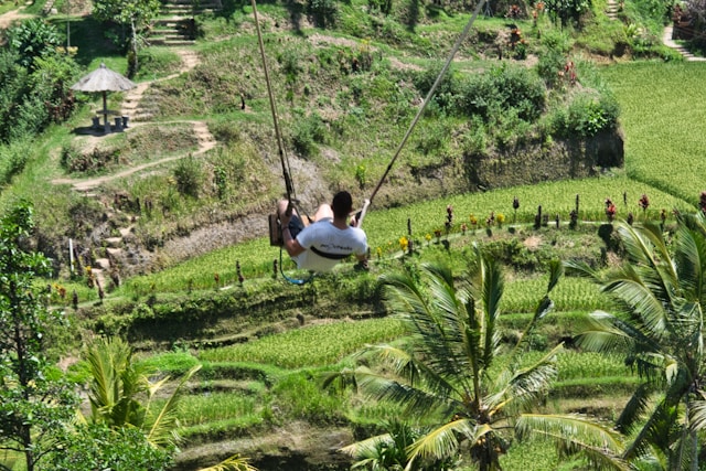 Bali Swing: Unleash Your Adventure on Enchanting Swings